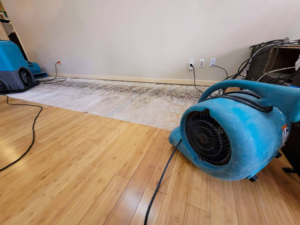 Professional Structural Drying technician working in Bancroft, MI